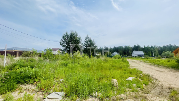 Земельный участок, г.о. Лосино-Петровский, деревня Митянино, Березовая улица, #id1403692