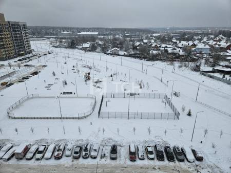 1-комн. квартира, Пушкино, улица Антона Ветчинова, 3к1, #id1991578