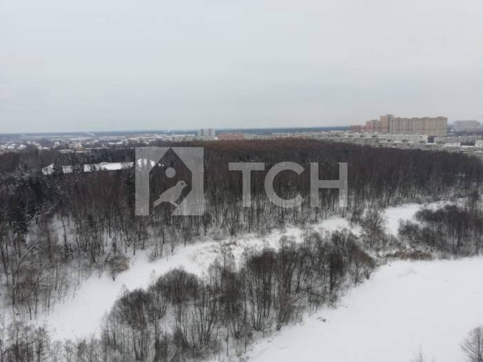 2-комн. Квартира, Пушкино, 1-я Серебрянская улица, 21, #id572165