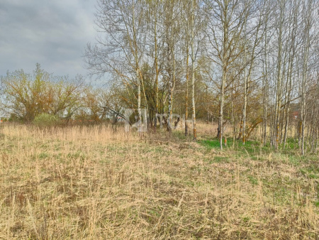 Земельный участок, Богородский г.о., Ногинск, Ново-Богородская улица, 3, #id1471602