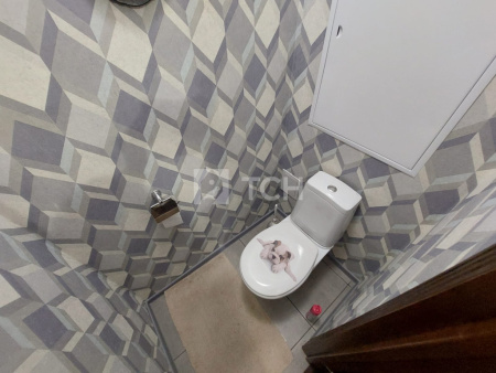 Дом, г.о. Пушкинский, садовое товарищество Клюковка-1, #id1036919