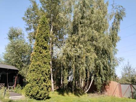 Земельный участок, Троицкий административный округ, деревня Чириково, улица 1-й Автопарк, 2, #id1867672