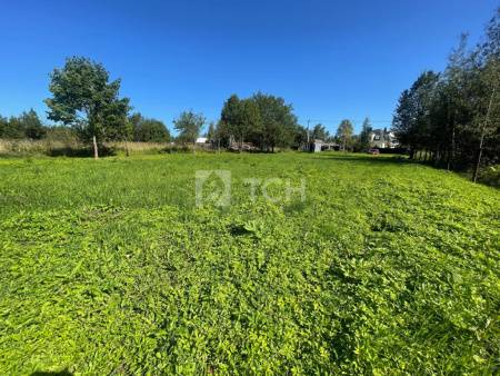 Дом, г.о. Пушкинский, деревня Бортнево, #id1743229