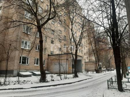 1-комн. квартира, Пушкино, улица Чехова, 16А, #id1974736