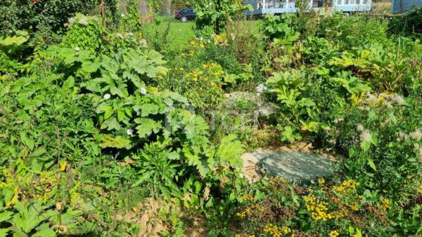 Дом, г.о. Пушкинский, деревня Якшино, #id1787375