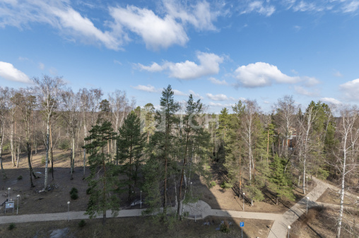 1-комн. квартира, дачный посёлок Зеленоградский, улица Зелёный Город, 4, #id1402515