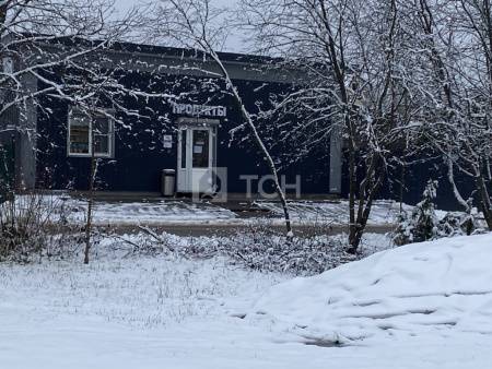 Дом, г.о. Пушкинский, деревня Бортнево, #id1743229