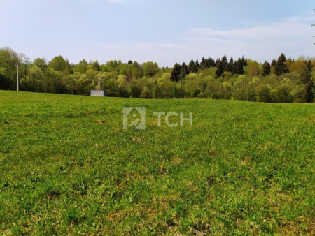 Земельный участок, Владимирская область, Александровский район, деревня Тургенево, #id359750