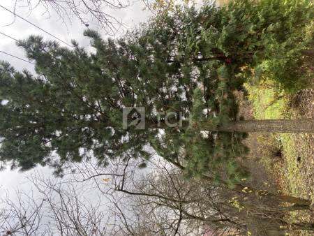 Земельный участок, г.о. Пушкинский, посёлок городского типа Софрино, 2-я Южная улица, #id1893653