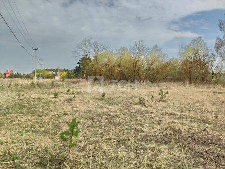 Земельный участок, Богородский г.о., Ногинск, Ново-Богородская улица, 3, #id1471602