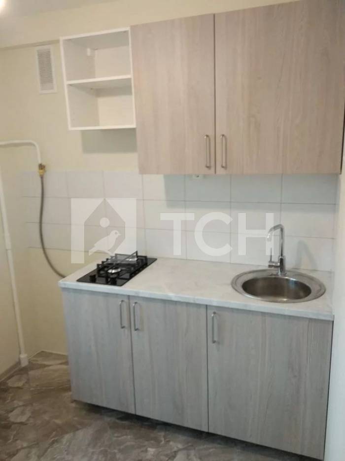 1-комн. Квартира, Пушкино, улица Л. Толстого, 19, #id482322