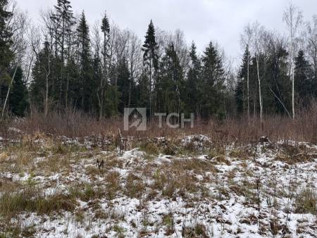 Земельный участок, г.о. Пушкинский, деревня Могильцы, #id1982926