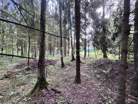 Земельный участок, г.о. Пушкинский, деревня Могильцы, #id1906960