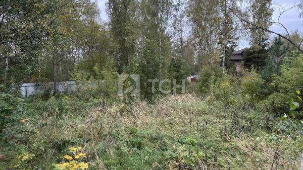 Земельный участок, г.о. Лосино-Петровский, деревня Корпуса, Берёзовая улица, 75, #id1796009