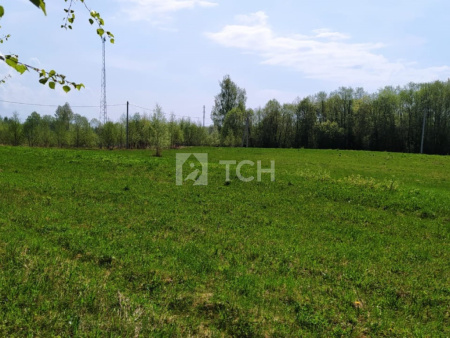 Земельный участок, Владимирская область, Александровский район, деревня Тургенево, #id359750