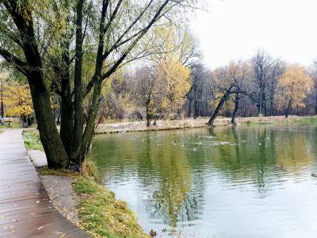 1-комн. квартира, Балашиха, 37, #id1896515