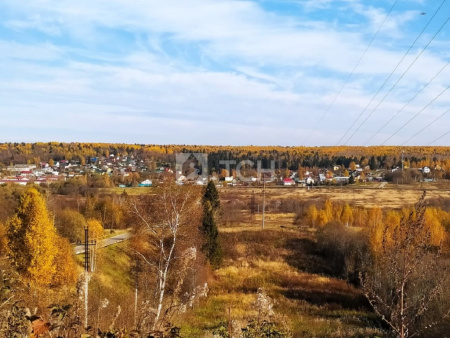Земельный участок, Владимирская область, Александровский район, деревня Тургенево, #id359750