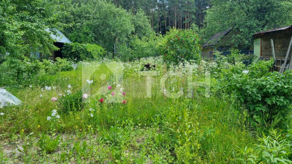 Дом, г.о. Королёв, СНТ Энергия-2, #id765805