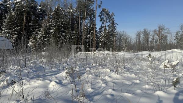 Земельный участок, г.о. Лосино-Петровский, деревня Митянино, Любимая улица, #id2003831